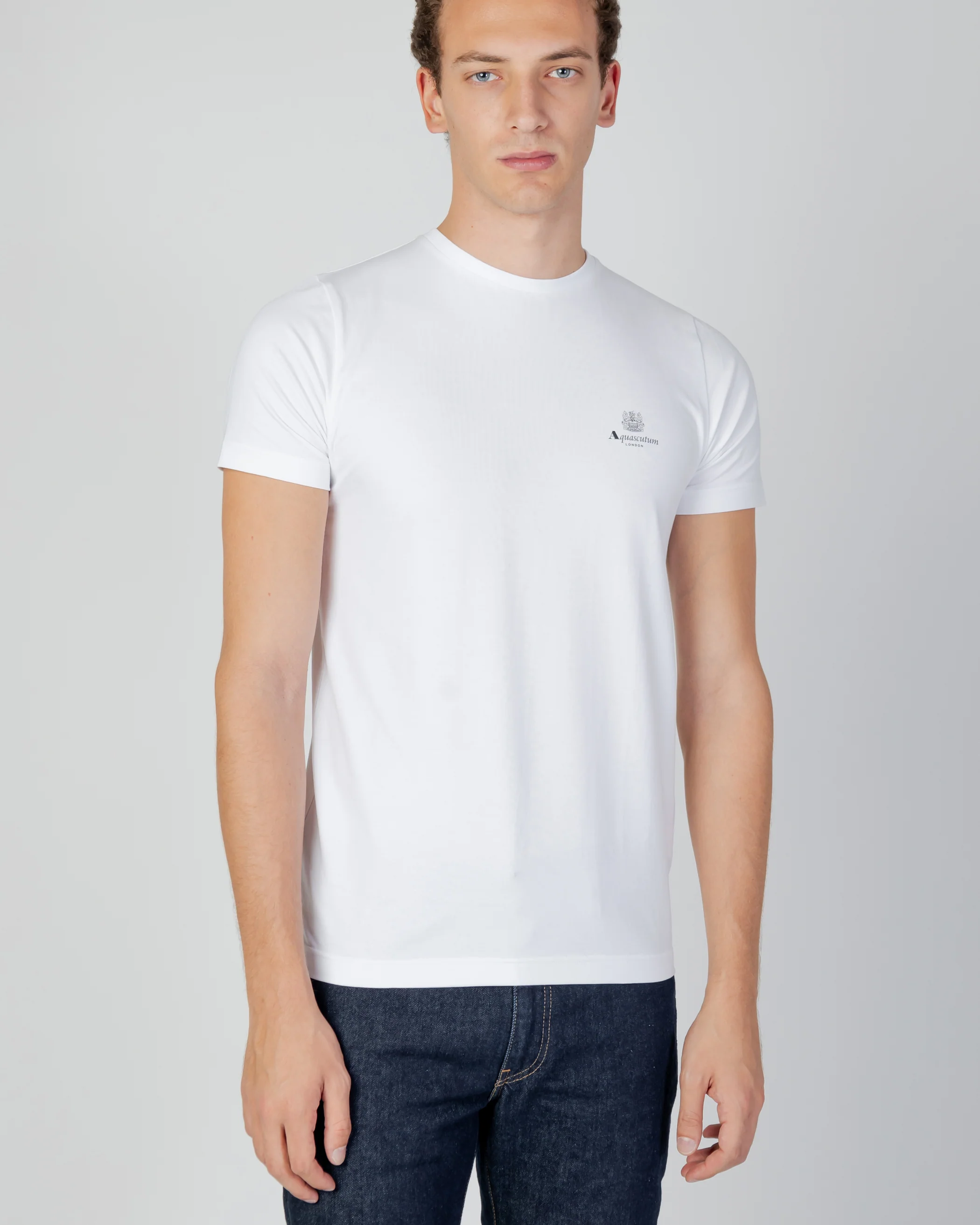 Футболка light grey England Aquascutum